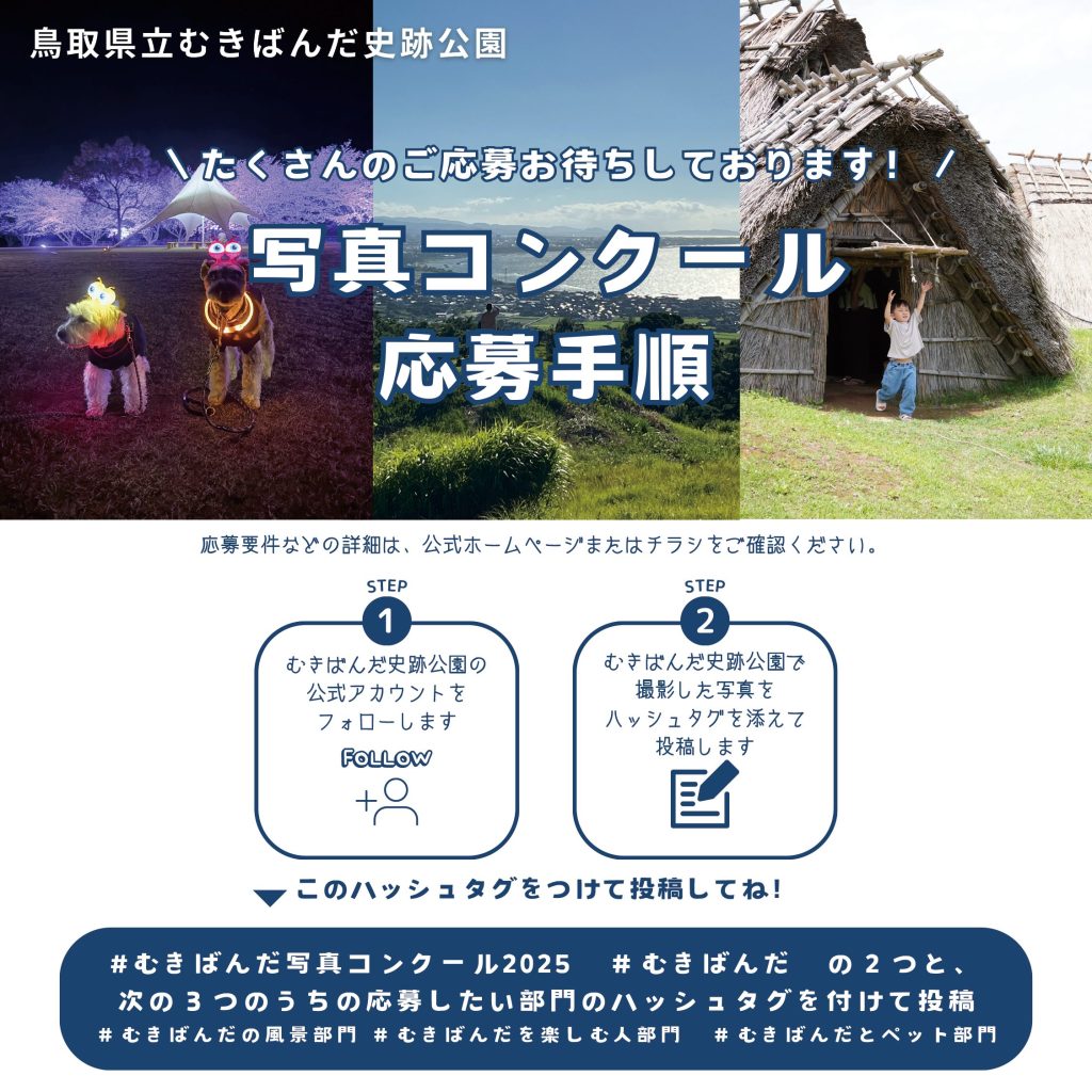 写真コンクール応募手順