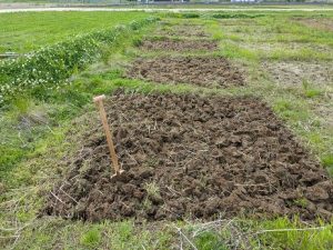 田おこしが終了した水田