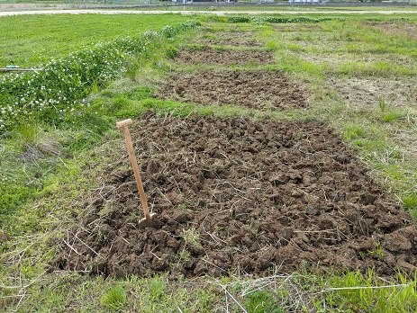 田おこしが終了した水田