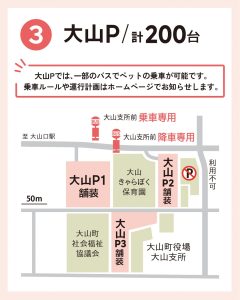 大山P